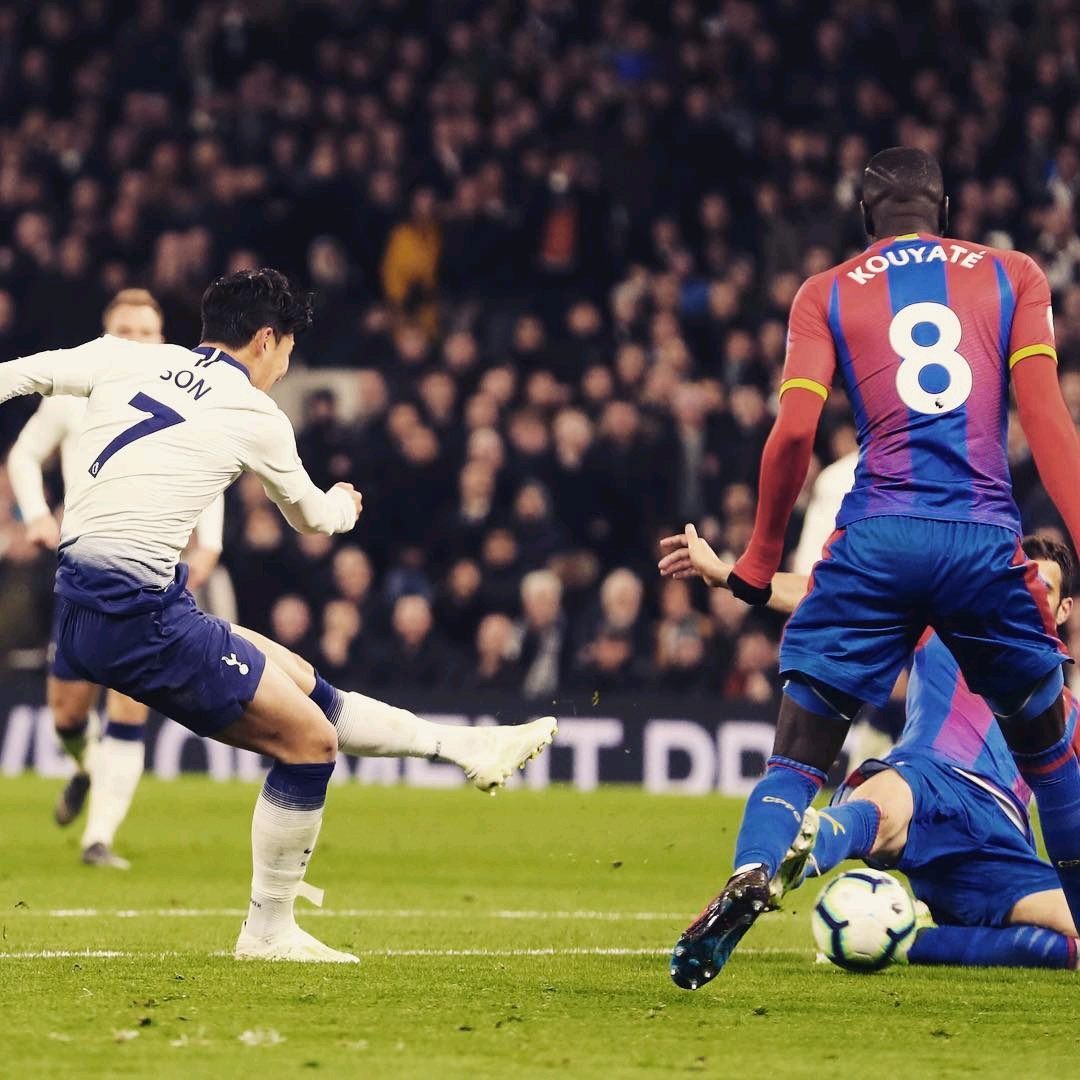 波兰队其他 波兰队其他